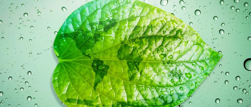 Duurzaamheidsverslag